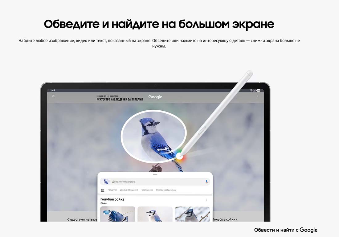 galaxy-tab-s10-fe в Белгороде galaxy-tab-s10-fe